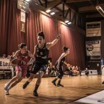 NF1 – Résultats J5 : Geispolsheim tient le rythme, Limoges et Orthez aux opposés