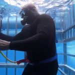 NBA – Vidéo : Shaq se retrouve coincé dans une cage, avec un requin