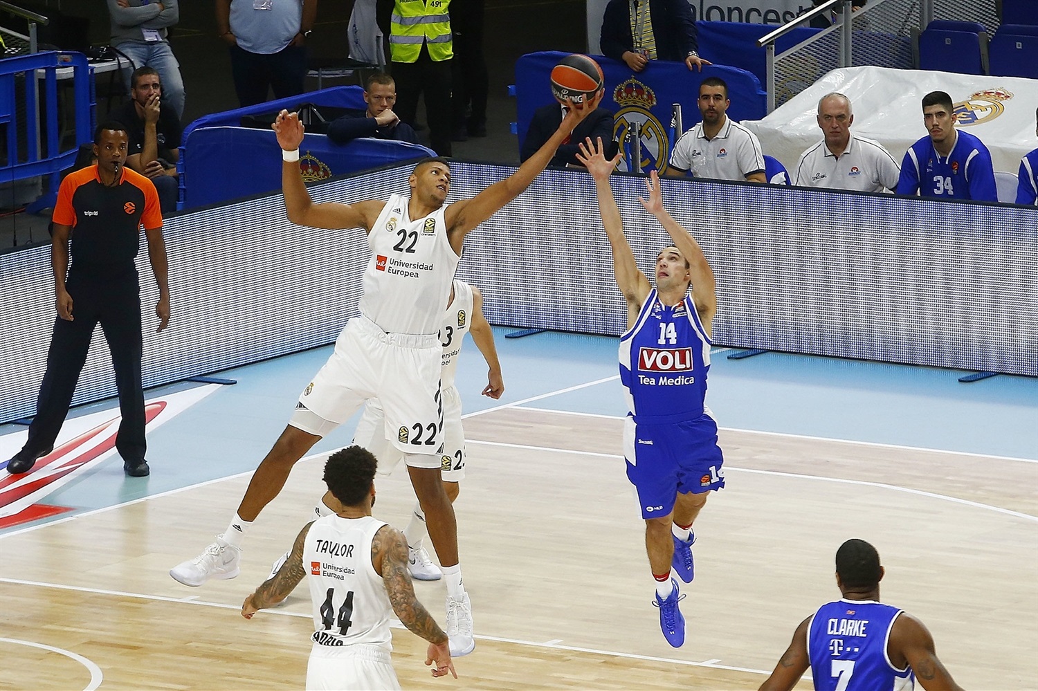 Walter Tavares MVP du mois d'Octobre