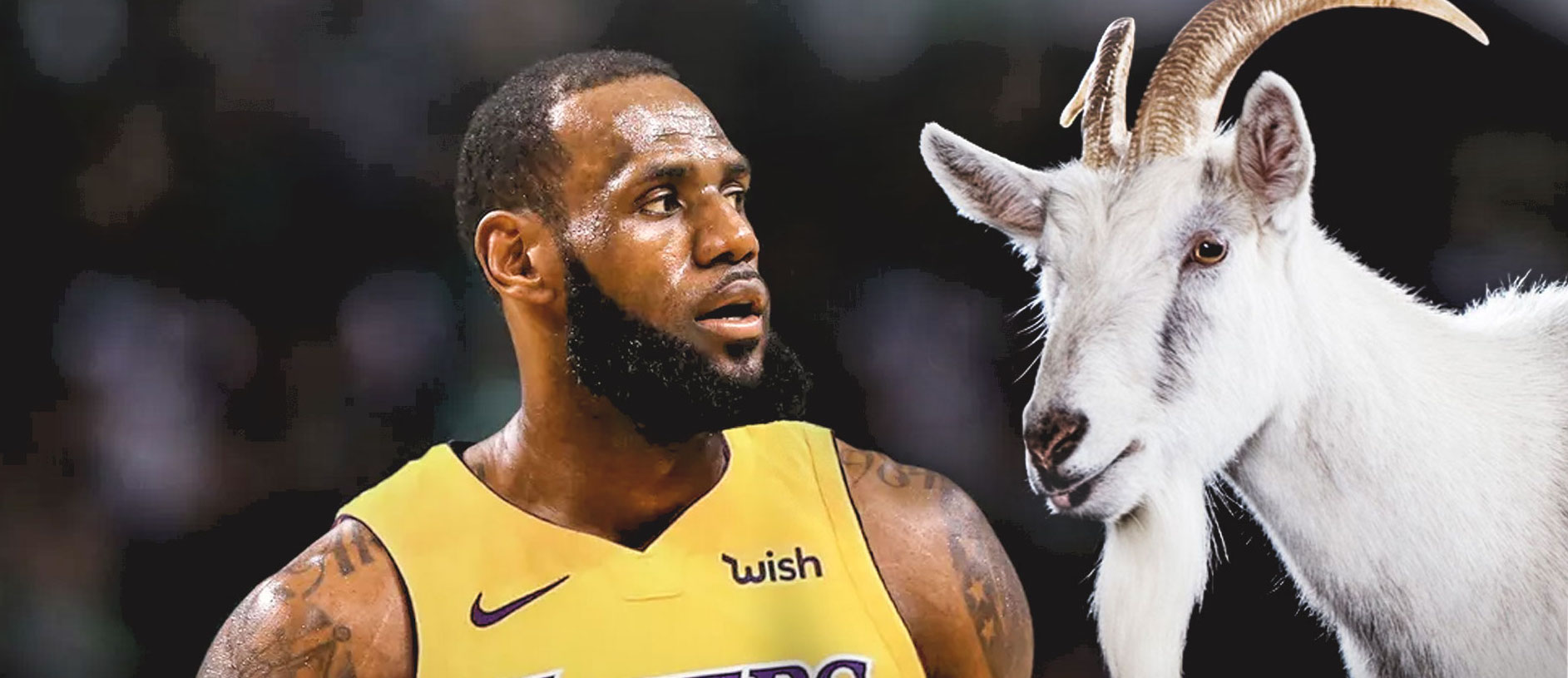 LeBron James Michael Jordan GOAT