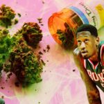 NBA – Le cannabis dans la ligue ? Les joueurs témoignent