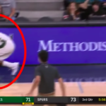 NBA – Eric Bledsoe terrorisé par une chauve-souris