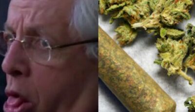 NBA – David Stern s&rsquo;exprime sur la question du cannabis