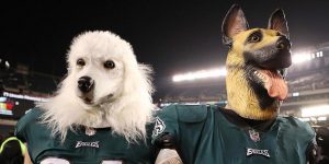 NBA – Les Sixers invitent leurs fans à venir avec… des masques de chien !