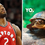 NBA – Le cadeau complètement WTF du zoo de Toronto pour les Raptors