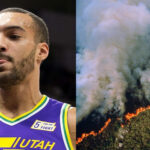 NBA – Rudy Gobert choqué par la société actuelle