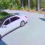 NBA – Quand JaVale McGee prend la fuite devant… un insecte