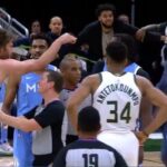 NBA – Postérisé par Jarrett Culver, Robin Lopez pète un câble !