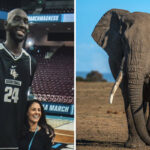 NBA – 5 grandes choses… que Tacko Fall dépasse