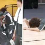 NBA – Robin Lopez déjà terrassé par le foudroyant « Cobra » de Giannis !