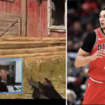 NBA – La réaction virale de Zach LaVine qui apprend le nouveau coach des Bulls… en plein COD