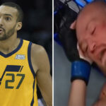 NBA – Gobert et plusieurs stars réagissent au KO de Conor McGregor !