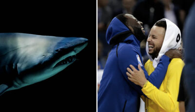 NBA – « Les requins ne font que chasser, c’est comme ça que je vis ma vie »