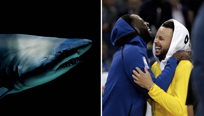 CJ McCollum en NBA explique sa vie de requin aux Blazers