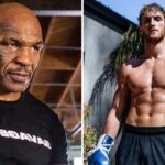 Fight – « Logan Paul, je pense que tu pourrais battre Mike Tyson »