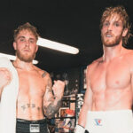 Fight – Jake et Logan Paul lourdement accusés par un combattant UFC !