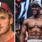 Fight – La révélation dingue de Logan Paul, terrorisé par Mayweather