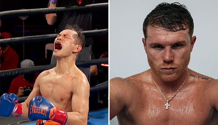 Canelo Alvarez réagit à l'énorme KO de Nonito Donaire