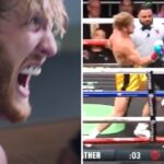 Fight – Les propos humiliants de Logan Paul pour Mayweather en plein combat révélés !