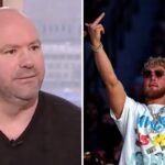 UFC – Dana White humilie encore Jake Paul… et tape là où ça fait mal !