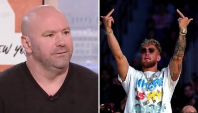 Fight – Le boss de l’UFC  déglingue sauvagement Jake Paul… et adoube son frère !