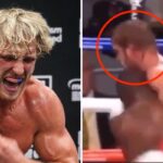 Fight – Logan Paul mis KO par Mayweather et le combat truqué ? Il réagit cash !
