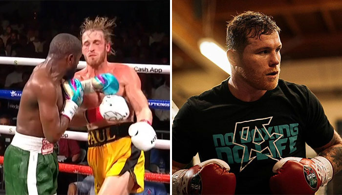 Canelo Alvarez réagit au combat Mayweather vs Logan Paul