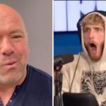 Fight – Logan Paul révèle la proposition dingue que lui a faite le boss de l’UFC !