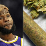 NBA – « 80% des joueurs consomment du cannabis, au minimum »