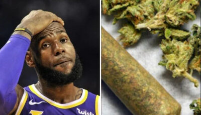 NBA – « 80% des joueurs consomment du cannabis, au minimum »