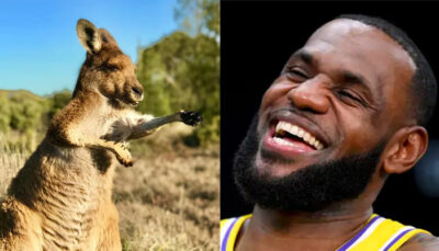 NBA – Le surprenant joueur actuel qui élève des zèbres et des kangourous sur son temps libre