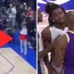 NBA – Le mystérieux homme de tous les fantasmes pendant le fight Lakers/Pistons