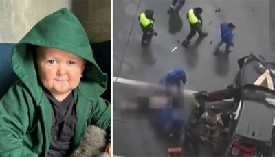 UFC – Accident de « Mini Khabib » à Moscou : de nouvelles informations dévoilées