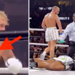 Fight – Le combat de Jake Paul encore truqué ? Une vidéo fait scandale !