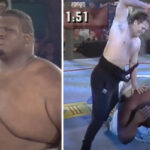 UFC 3 – En 1994, le TKO sans foi ni loi d’un sumo de 310 kilos ! (vidéo)