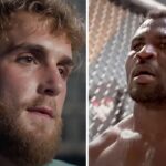 UFC – « Jake Paul est une plus grande star que Francis Ngannou »