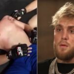 Terminé par soumission, une rare vidéo de Jake Paul en MMA refait surface !