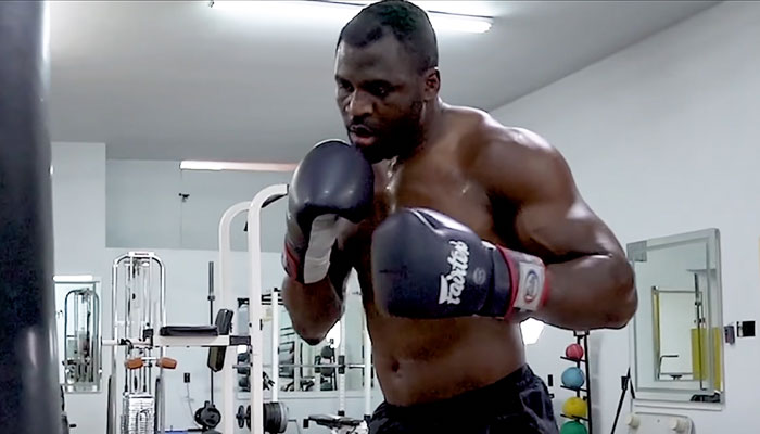 Une star veut entrainer Francis Ngannou en boxe !