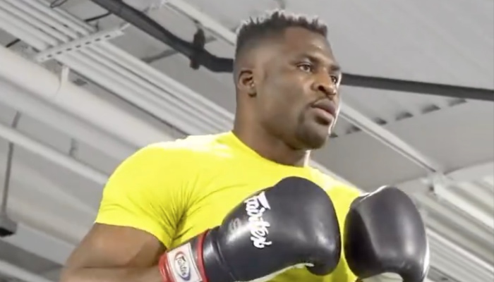 L'ancien champion UFC des poids lourds, Francis Ngannou