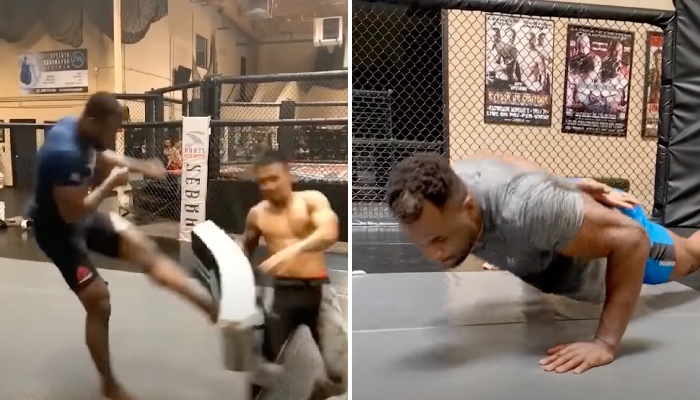 Francis Ngannou a détruit un entraineur d'un coup de pied