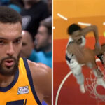 NBA – Sale soirée pour Rudy Gobert, avec la défaite et une humiliation au cercle !