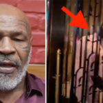 Persuadé qu’il va bientôt mourir, la nouvelle vidéo inquiétante de Mike Tyson