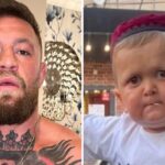 UFC – Après avoir insulté « Mini Khabib », Conor McGregor en remet une couche !