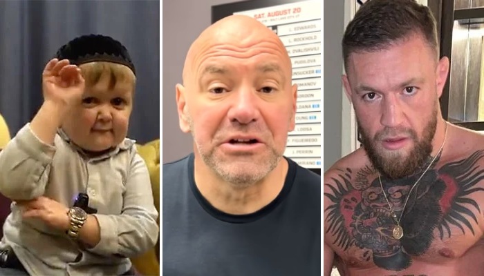 UFC Dana white réagit au beef entre McGregor et Hasbulla