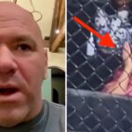 UFC – La vidéo virale de la femme de Mark Zuckerberg, terrifiée devant la cage ! (vidéo)