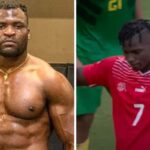 UFC – Le Cameroun tapé par la Suisse, le tweet épique de Francis Ngannou !