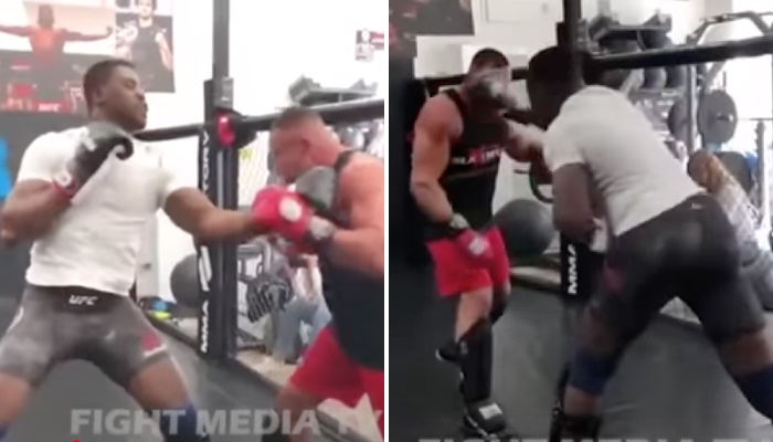 Francis Ngannou en sparring avec Jérôme Le Banner