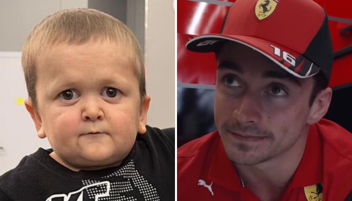 La star de l'UFC Hasbulla Magomedov, alias « Mini Khabib », a récemment fait la rencontre du pilote Ferrari Charles Leclerc, avec qui il fait le buzz