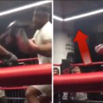 UFC – La séquence dingue de Francis Ngannou, qui fait disparaître Fernand Lopez ! (vidéo)