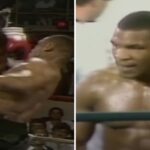 « Mike Tyson ? Il n’a jamais été aussi terrifiant que dans ce combat, c’était un assassinat »